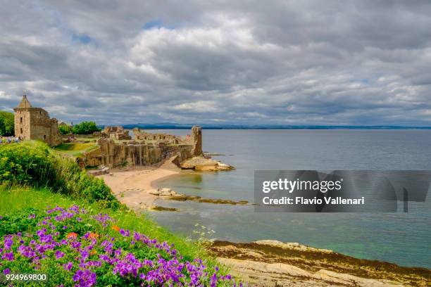 st andrews castle - schottland - st andrews schotland stock-fotos und bilder