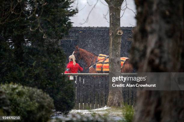 Snow falls at Lingfield Park racecourse on February 27, 2018 in Lingfield, England.