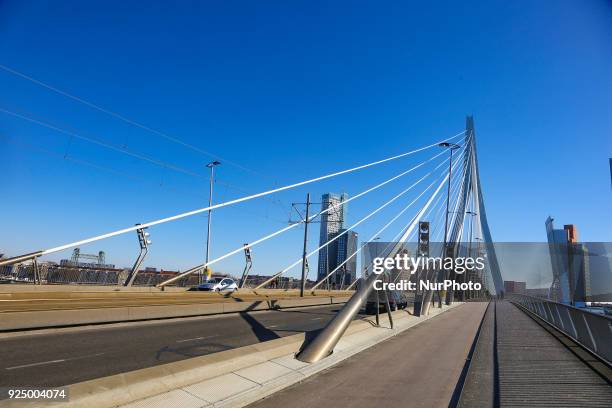 Erasmusbrug or Erasmus Bridge in Rotterdam, Netherlands on 25 February 2018. The famous cable bridge is named after Desiderius Erasmus who was from...