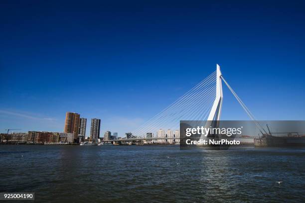 Erasmusbrug or Erasmus Bridge in Rotterdam, Netherlands on 25 February 2018. The famous cable bridge is named after Desiderius Erasmus who was from...