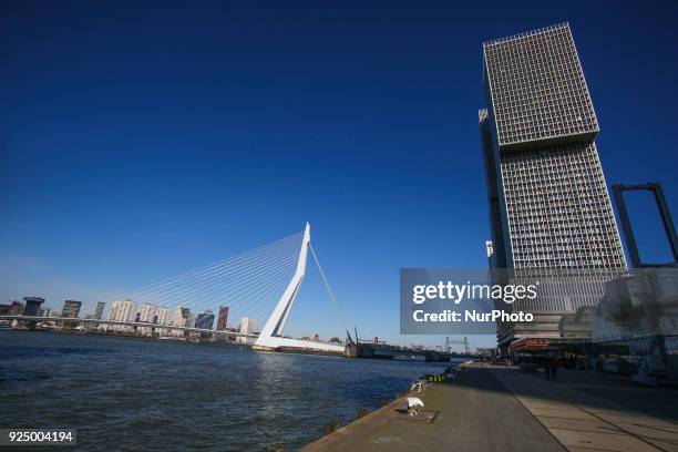 Erasmusbrug or Erasmus Bridge in Rotterdam, Netherlands on 25 February 2018. The famous cable bridge is named after Desiderius Erasmus who was from...