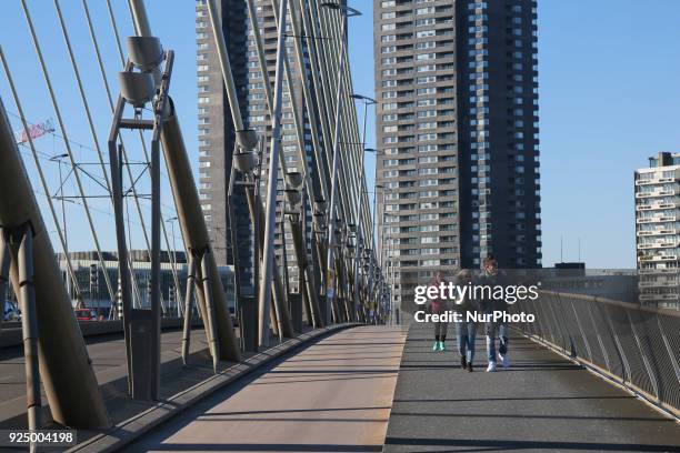 Erasmusbrug or Erasmus Bridge in Rotterdam, Netherlands on 25 February 2018. The famous cable bridge is named after Desiderius Erasmus who was from...