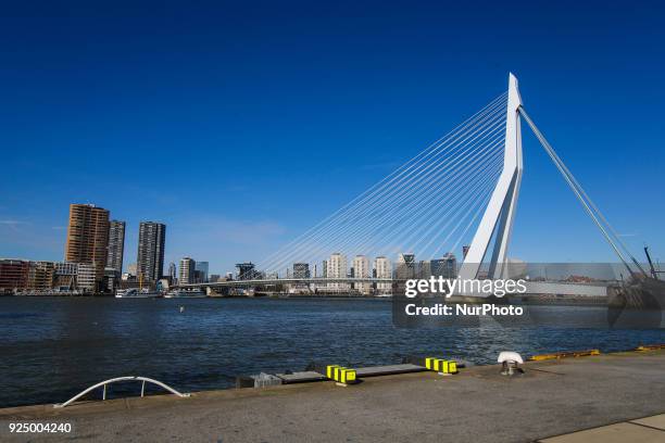 Erasmusbrug or Erasmus Bridge in Rotterdam, Netherlands on 25 February 2018. The famous cable bridge is named after Desiderius Erasmus who was from...