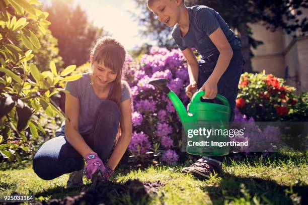 brother and sister tending to flowers in garden - daily life in poland stock pictures, royalty-free photos & images