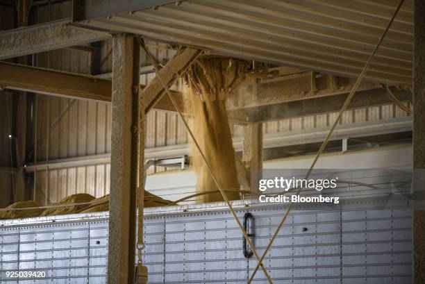 Distilers Lorry Dried Distillers Grains Photos and Premium High Res Pictures - Getty Images
