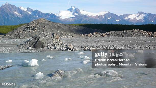 icebergs floating on the river above chilkat inlet - river chilkat bildbanksfoton och bilder