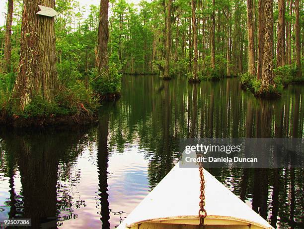 boat ride in the swamp - cypress gardens south carolina stock pictures, royalty-free photos & images