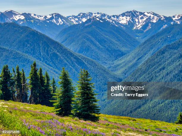High Ridge Hurricane Ridge Hurricane Ridge Photos and Premium High Res Pictures - Getty Images