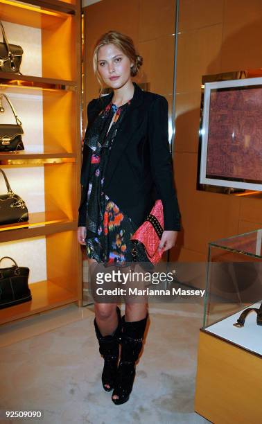 Catherine McNeil arrives for the first anniversary of the Louis Vuitton Collins Street store on October 29, 2009 in Melbourne, Australia.