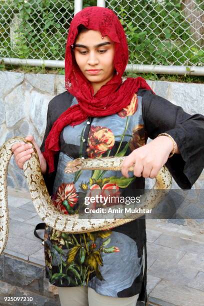 a young girl in scarf (hijab) holding a python (snake) in her hands - python skin stock pictures, royalty-free photos & images