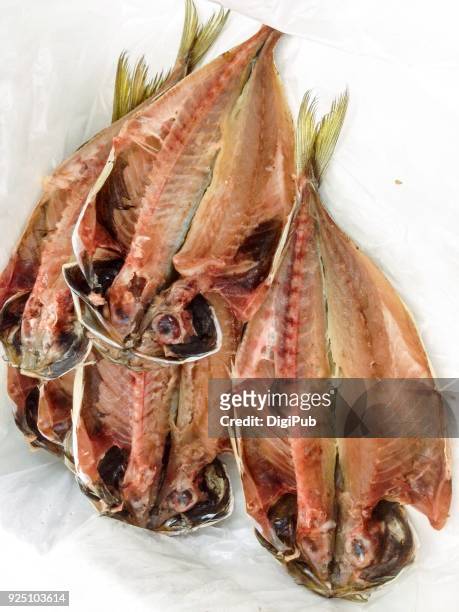 cut open and dried horse mackerel - trachurus stock pictures, royalty-free photos & images