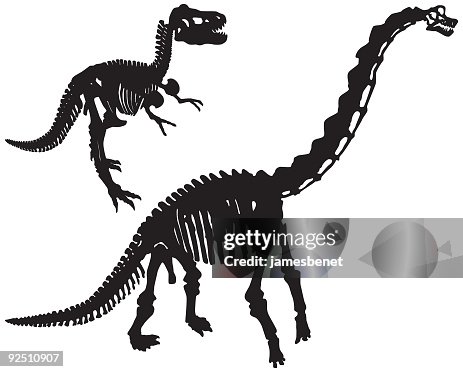Dinosaur Bones (Vector) Dinosaur Bones (Vector)