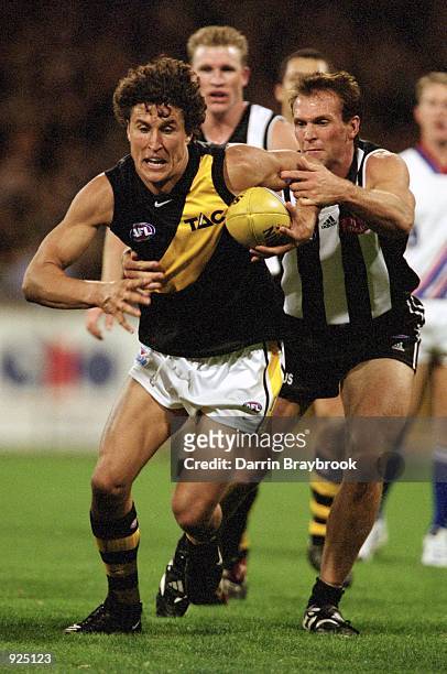 Darren Gasper of Richmond and Jarrod Molloy of Collingwood in action during round 4 of the A.F.L. Match played between the Collingwood Magpies and...
