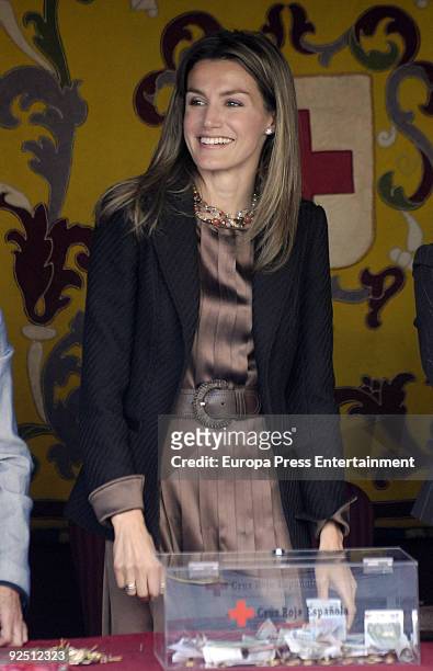 Princess Letizia attends the 2009 Red Cross fundraising campaign on October 28, 2009 in Madrid, Spain.