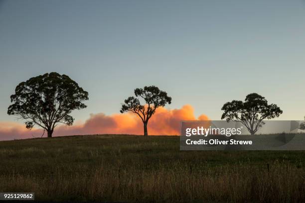 smoke from a bush fire - nsw bushfires stock-fotos und bilder