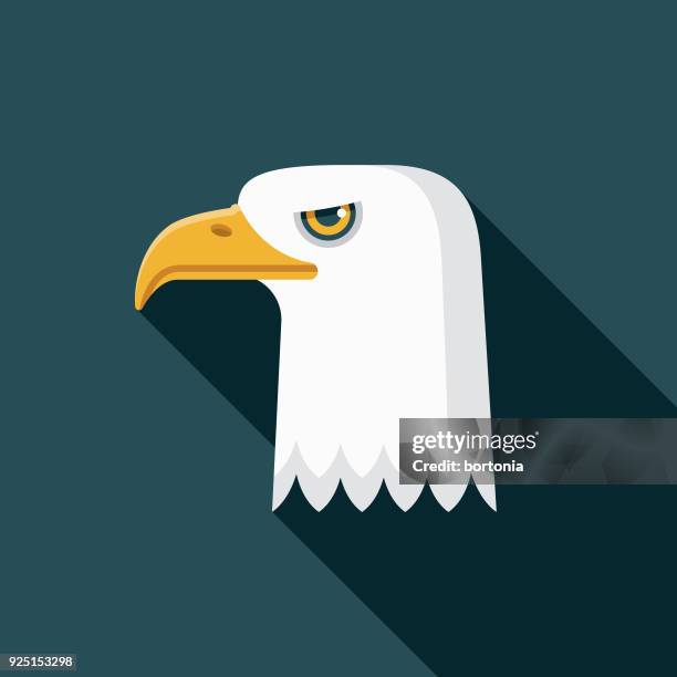 bald eagle flat design usa icon with side shadow - bald eagle feather stock illustrations
