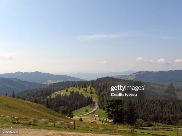 path through mountains - bavarian forest stock pictures, royalty-free photos & images