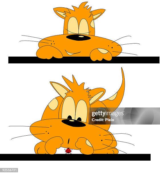 cat cartoon happy and catching lady beetle - caught cat napping stock illustrations