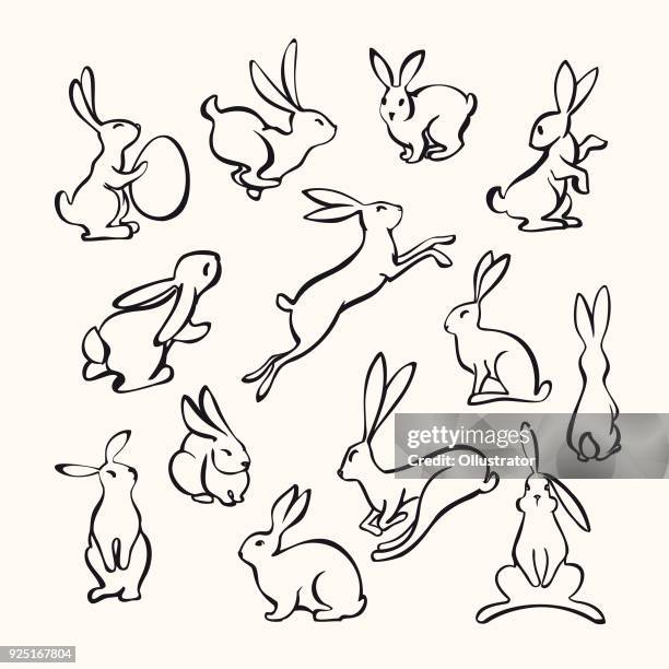 Ilustraciones de Conejo - Getty Images Ilustraciones de Conejo - Getty Images