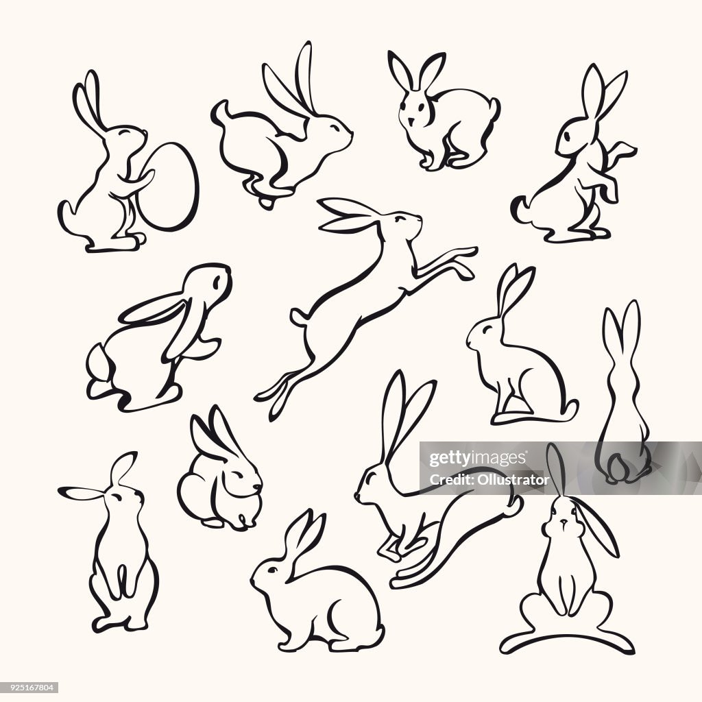 Collectie van lijn kunst konijnen