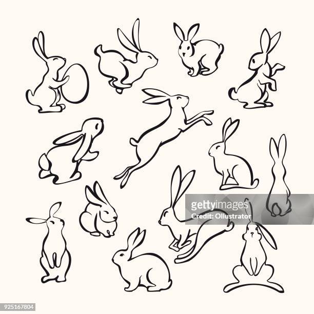 collection of line art rabbits - cute easter bunny stock illustrations