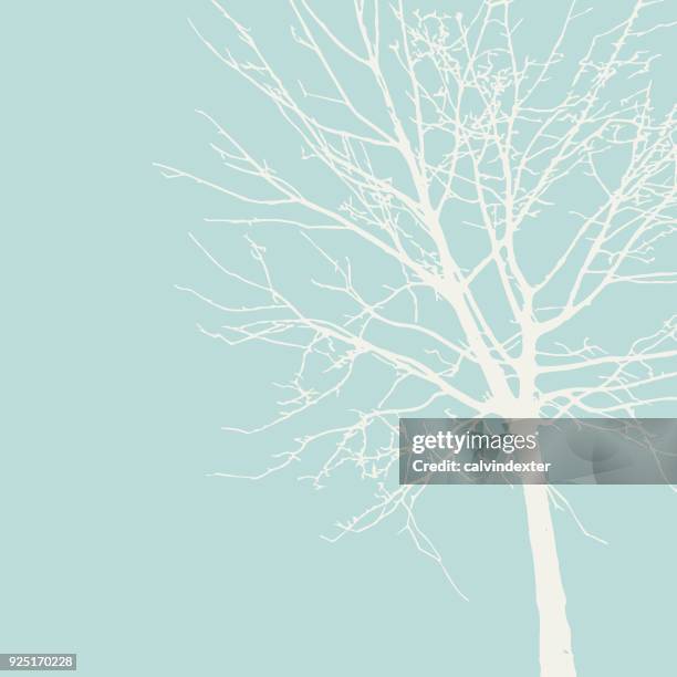 tree silhouette - maple tree stock illustrations