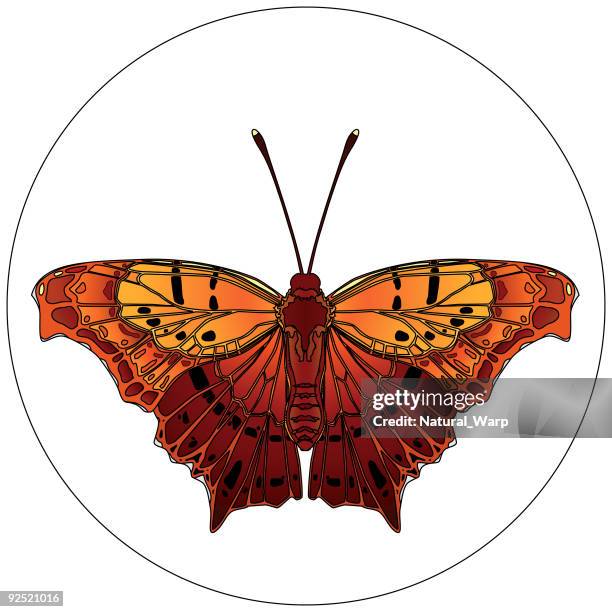 ilustraciones, imágenes clip art, dibujos animados e iconos de stock de insecto diseño 11 - vlinder