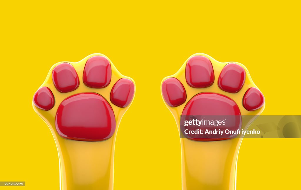 Colorful cat's paws