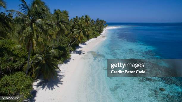 tropical beach - océan indien photos et images de collection