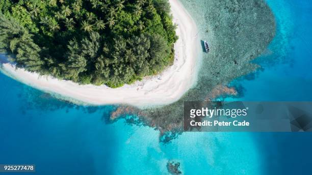 tropical island - パプアニューギニア ストックフォトと画像