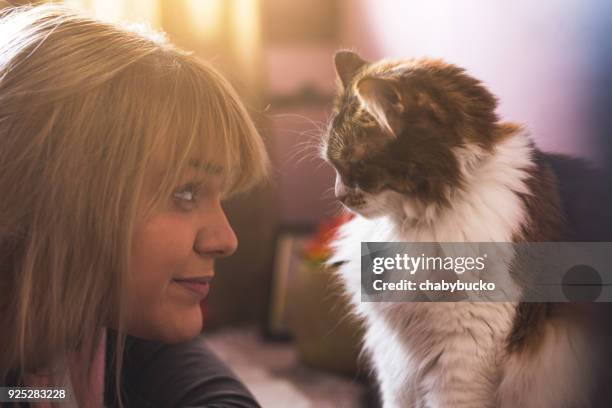 love! - cat looking up stock pictures, royalty-free photos & images