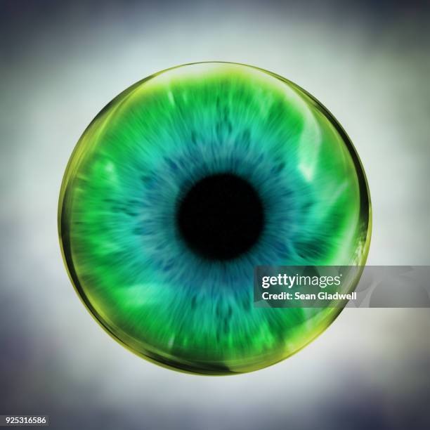 green eye - eye ball stock pictures, royalty-free photos & images