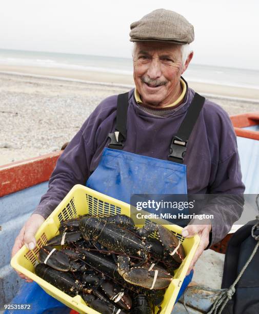 lobster fisherman - fisherman stock pictures, royalty-free photos & images