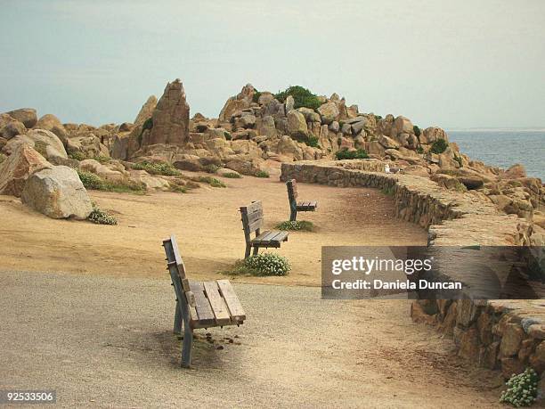 three empty benches overlooking the pacific ocean - pacific grove stock pictures, royalty-free photos & images