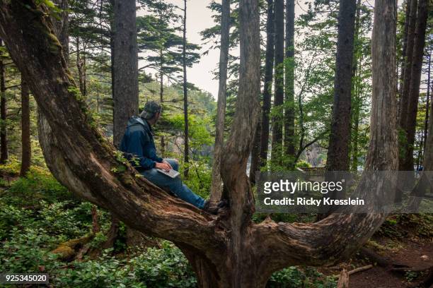 digital nomad sitting in tree - ricky kresslein stock-fotos und bilder
