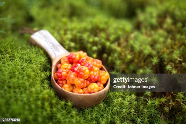 cloudberries in ladle - cloudberry stockfoto's en -beelden