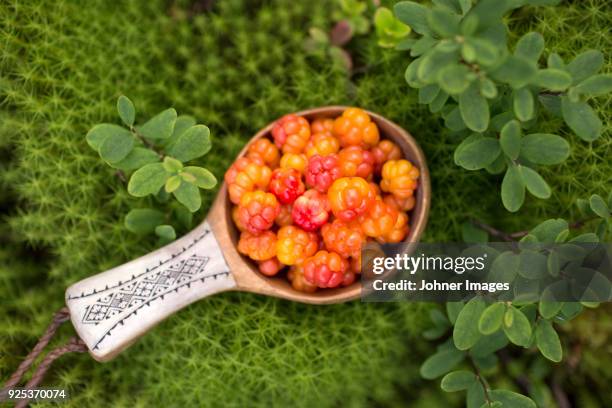 cloudberries in ladle - cloudberry stockfoto's en -beelden