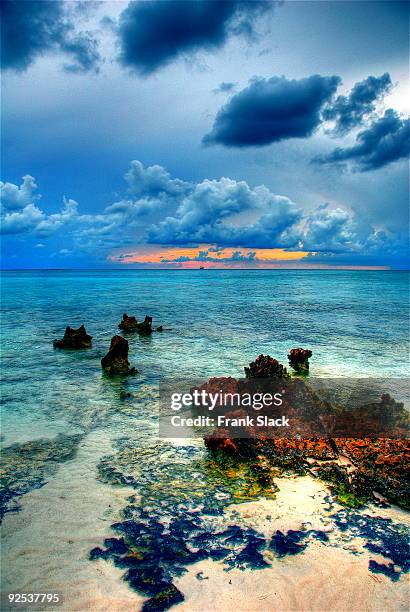 cayman island reef - grand cayman stockfoto's en -beelden