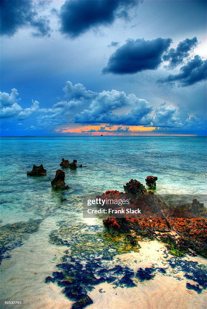 Cayman Island Reef