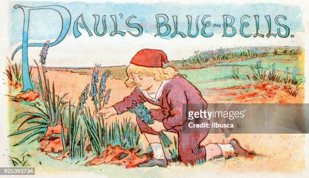 ilustrações, clipart, desenhos animados e ícones de crianças antigas livro ilustrações: colheita das campânulas - campanula liliaceae