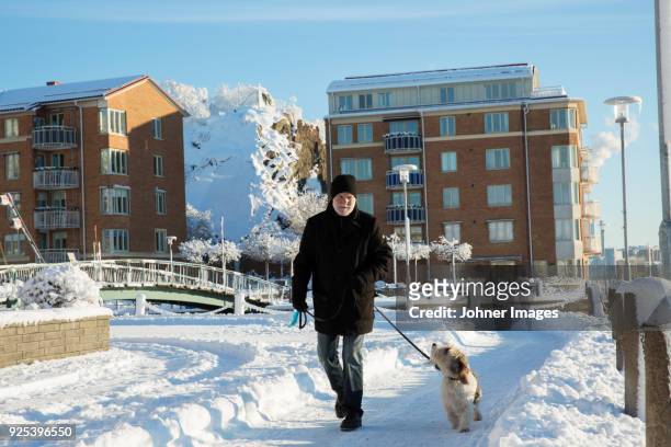 man walking with dog in snow - gothenburg winter stock pictures, royalty-free photos & images