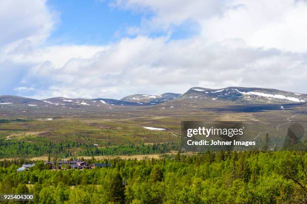 landscape with forest - dalarna bildbanksfoton och bilder