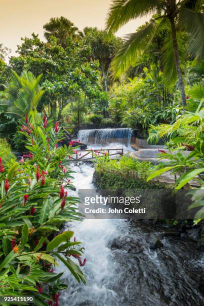 cascading waterfalls, thermal springs, tourist resort - costa rica stock pictures, royalty-free photos & images