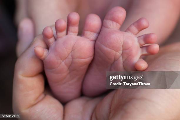 close-up heel of a newborn baby - comadrona fotografías e imágenes de stock