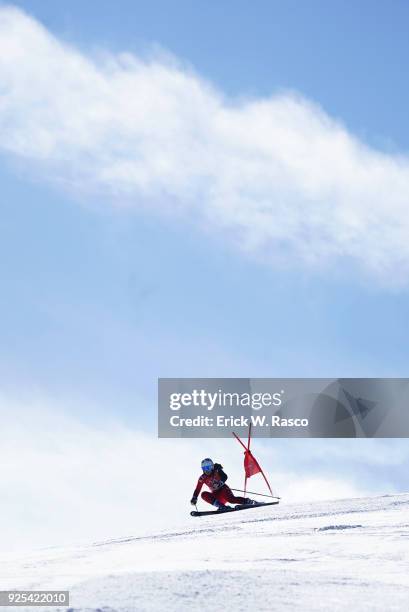 Winter Olympics: Albania Suela Mehilli in action during Women's Giant Slalom Final at Yongpyong Alpine Centre. PyeongChang-Gun, South Korea 2/15/2018...