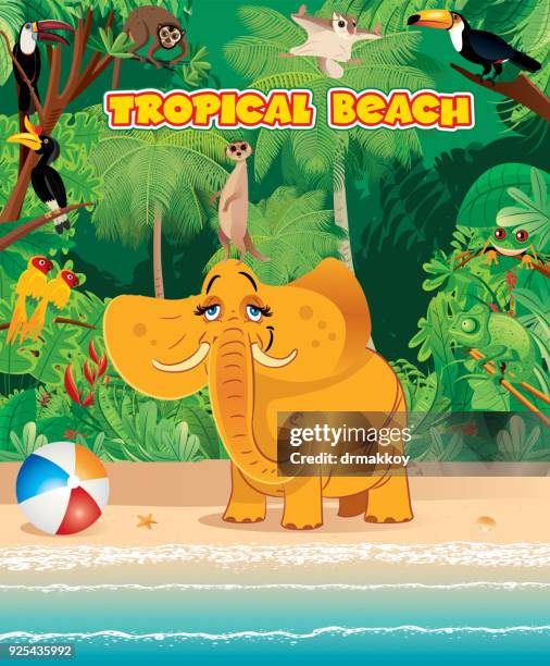 beach and elephand - indian river florida stock illustrations