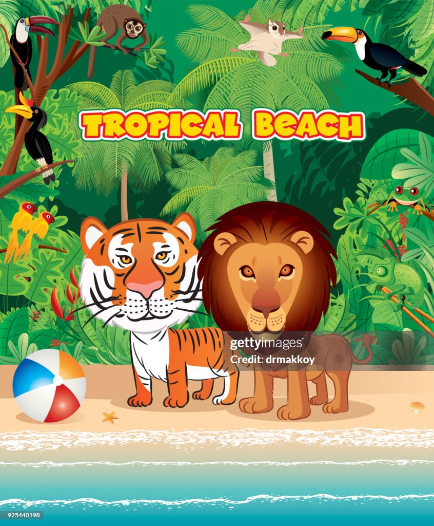 Beach and Big cat