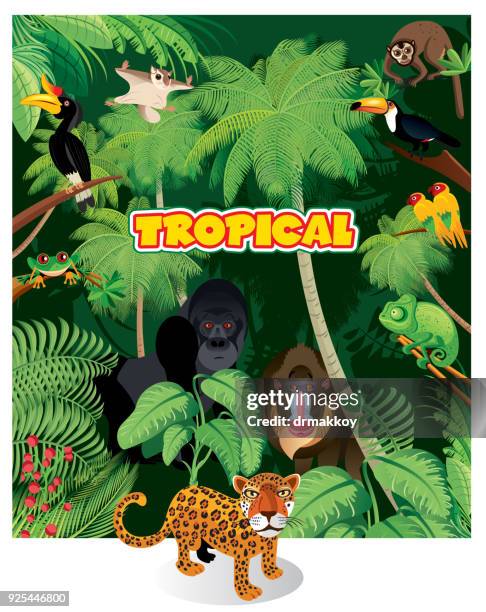 tropical rainforest and animals - rainbow lorikeet stock illustrations