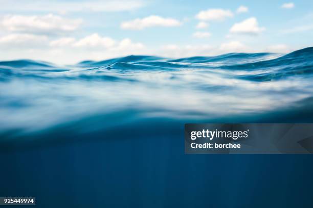 underwater view - agua azul imagens e fotografias de stock