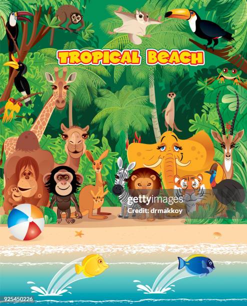 tropical beach and animals - baboon stock illustrations